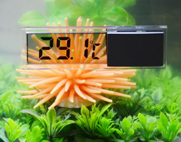 thermometer terrarium aquarium digitales transparent durchsichtig